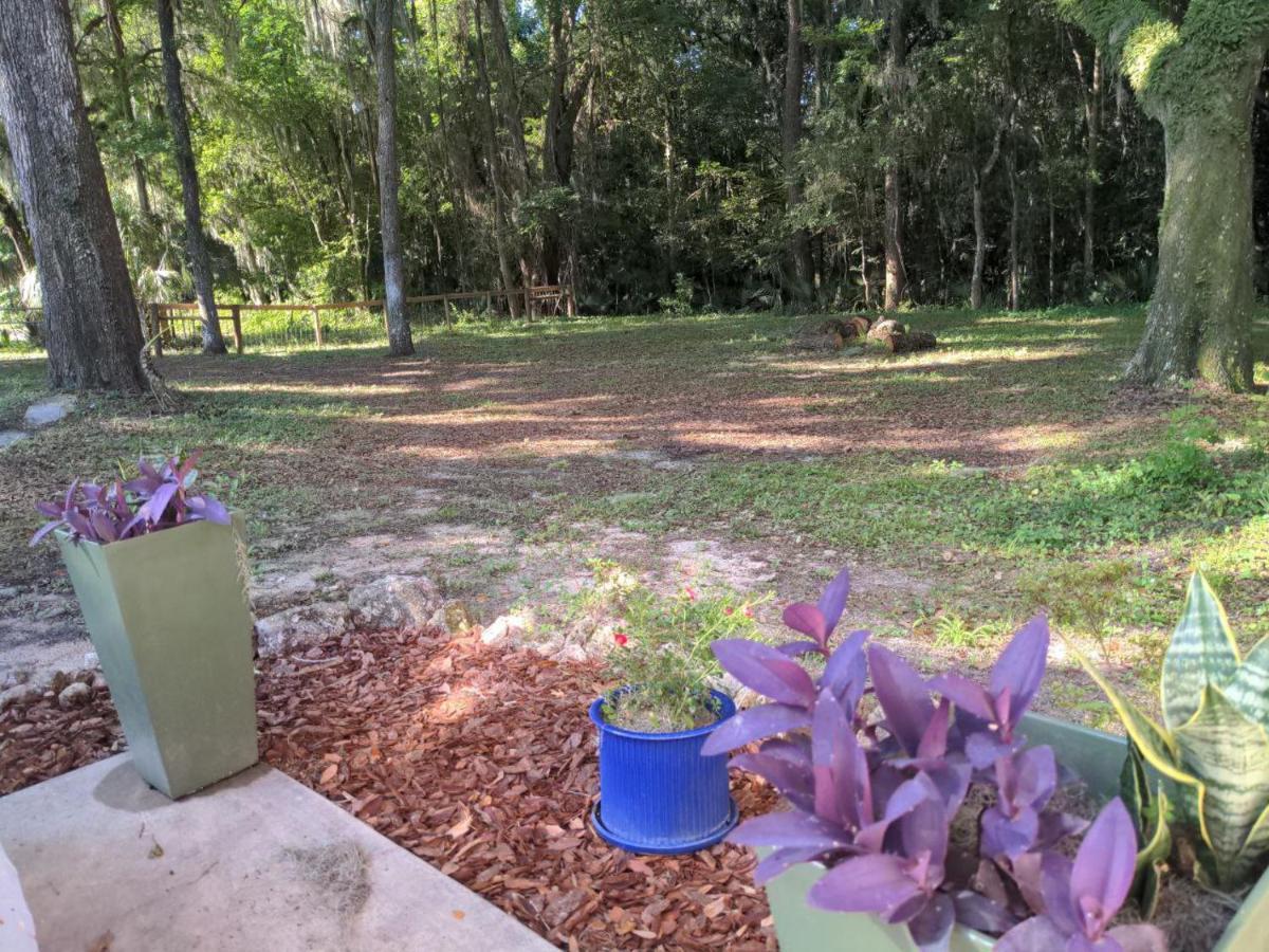 Micanopy Countyline Cottages Eksteriør billede
